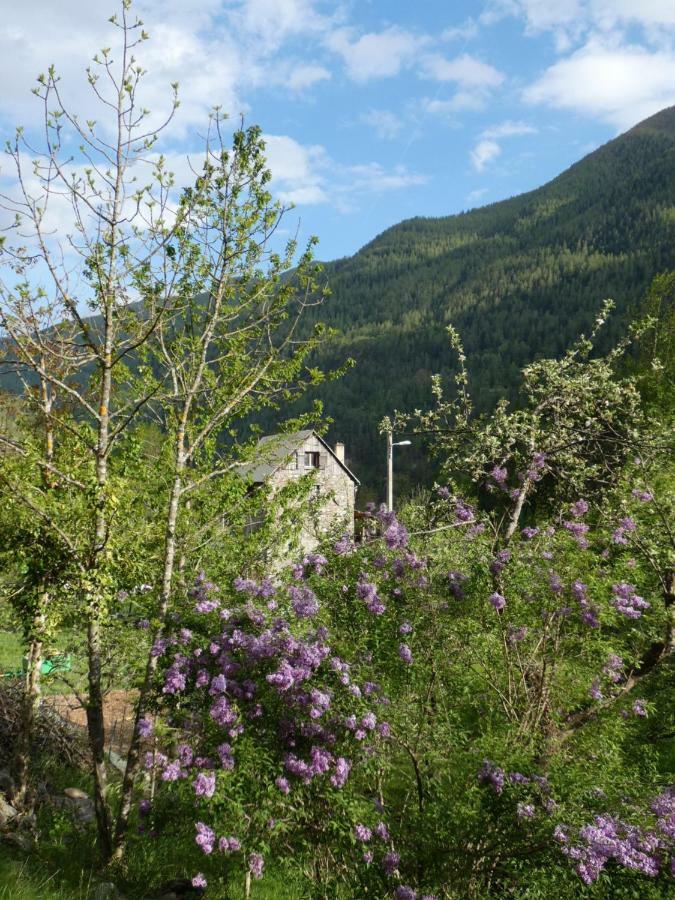 Apartmán La Cerisole Saint-Étienne-de-Tinée Exteriér fotografie